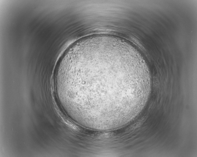 X0000060770891200512011609