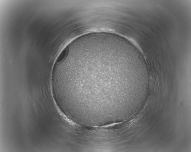 X0000060770895200512011609