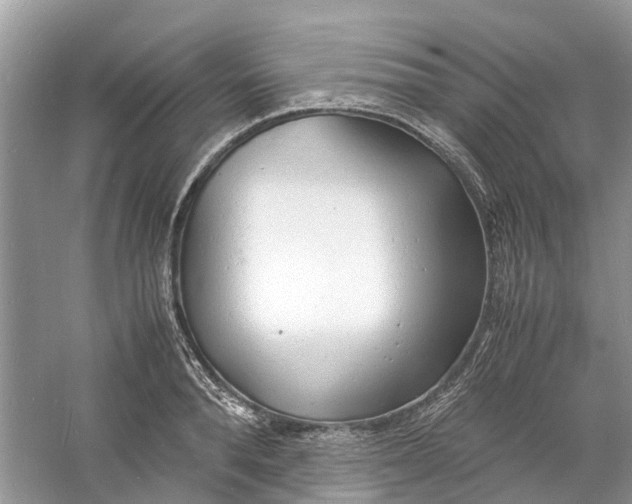 X0000060770896200512011608