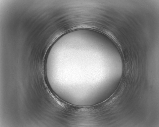 X0000060770898200512011608