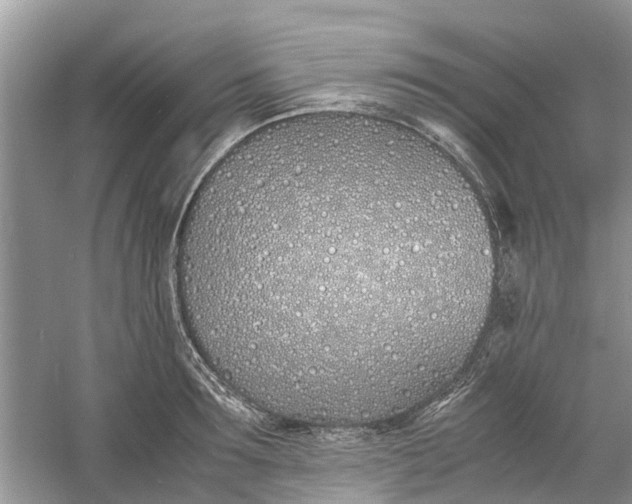 X0000060770899200512011608