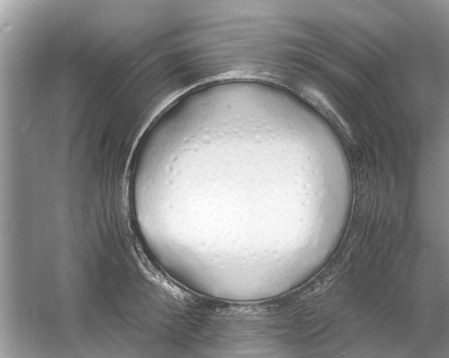 X0000060770900200512011608