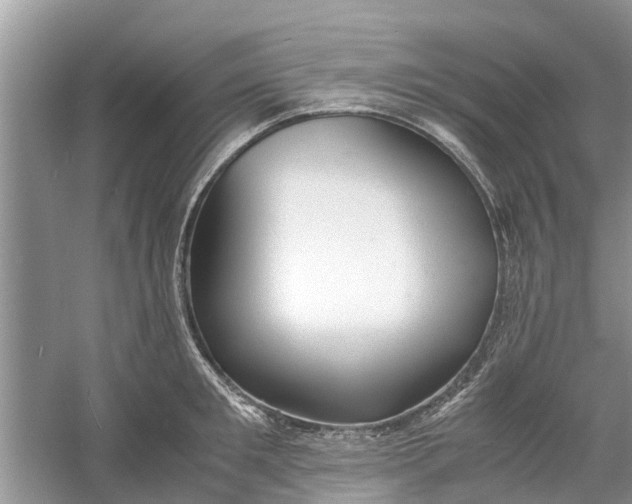 X0000060770901200512011608