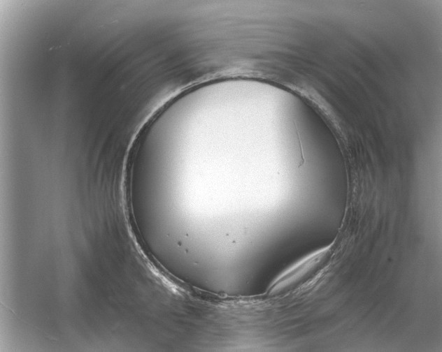 X0000060770902200512011608