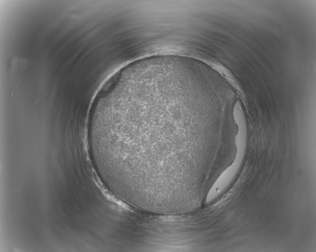 X0000060770904200512011608