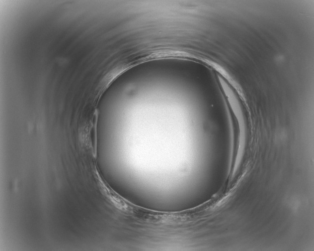 X0000060770905200512011608