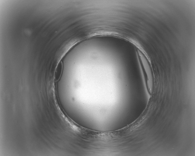 X0000060770906200512011608