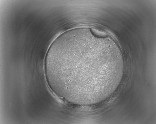 X0000060770907200512011608