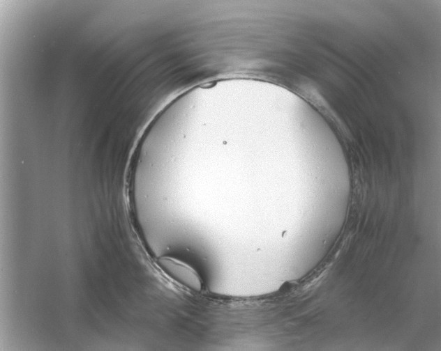 X0000060770908200512011608