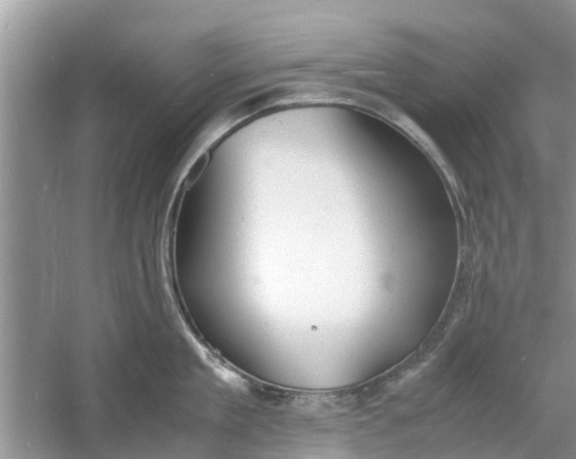 X0000060770909200512011608