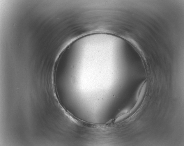 X0000060770910200512011608