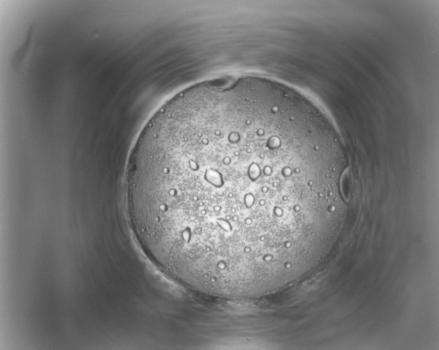 X0000060770911200512011608