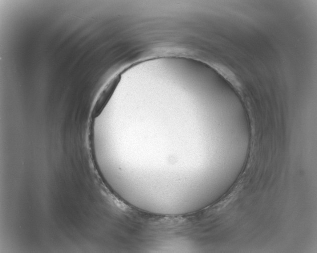 X0000060770912200512011608