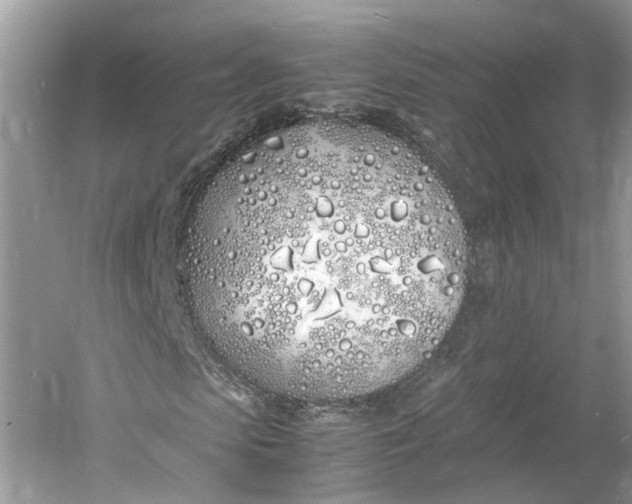 X0000060770913200512011607