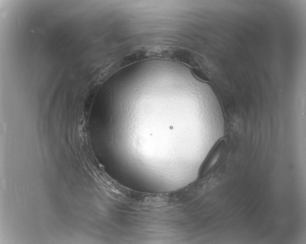 X0000060770914200512011607