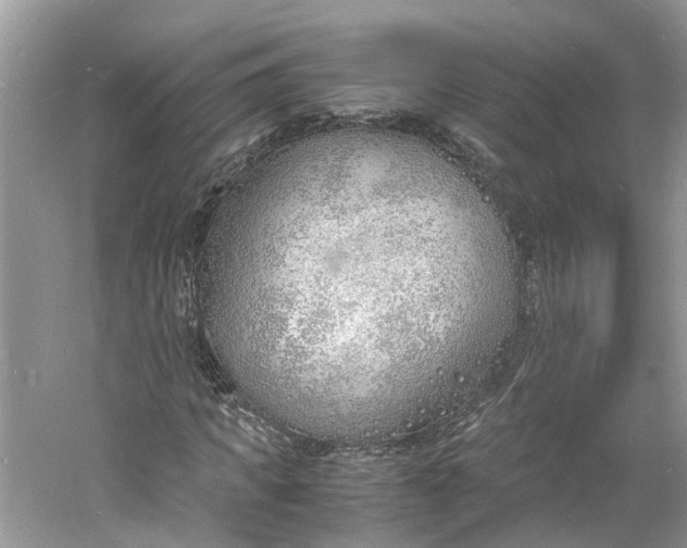 X0000060770917200512011607