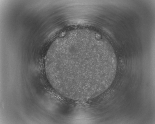 X0000060770918200512011607