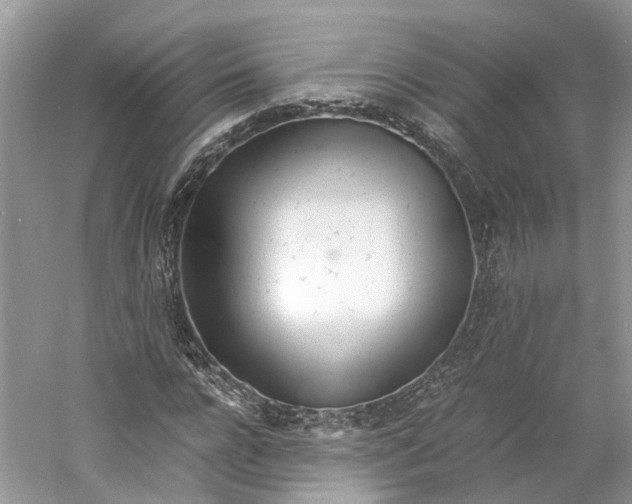 X0000060770920200512011607