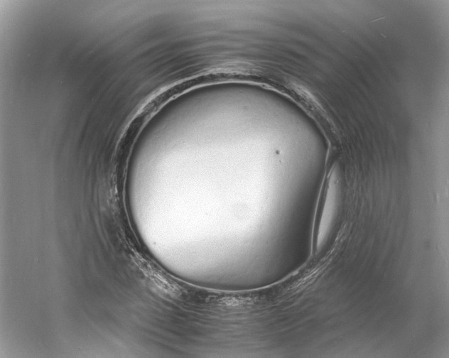 X0000060770923200512011608