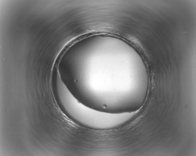 X0000060770924200512011608