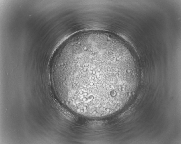 X0000060770925200512011608