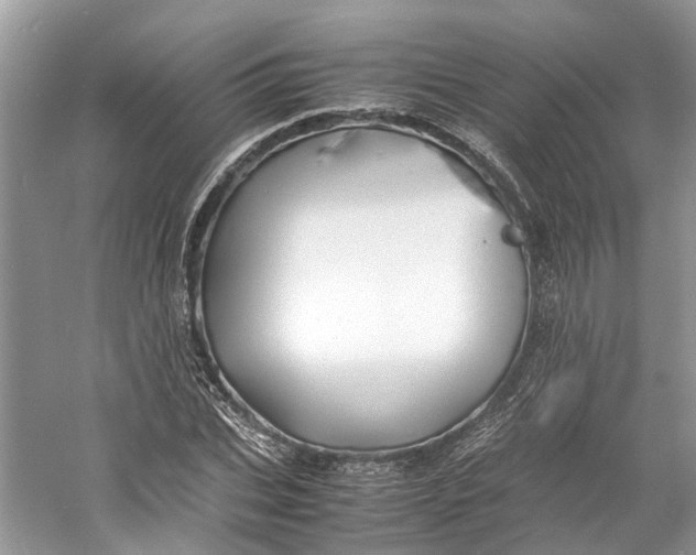 X0000060770927200512011608