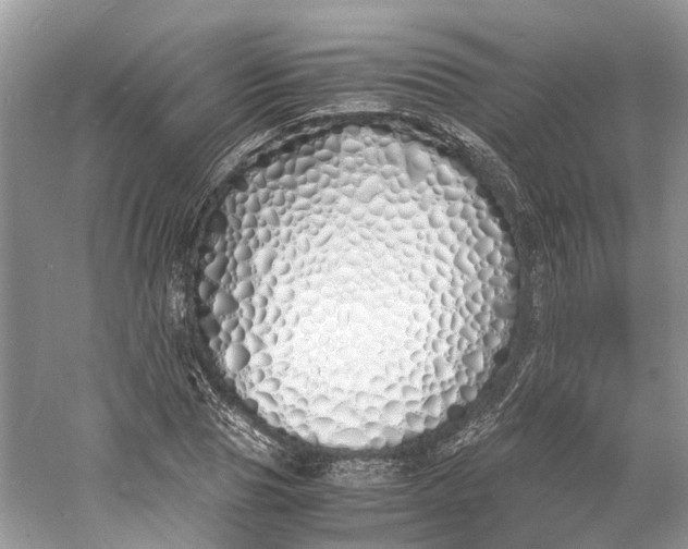 X0000060770929200512011608