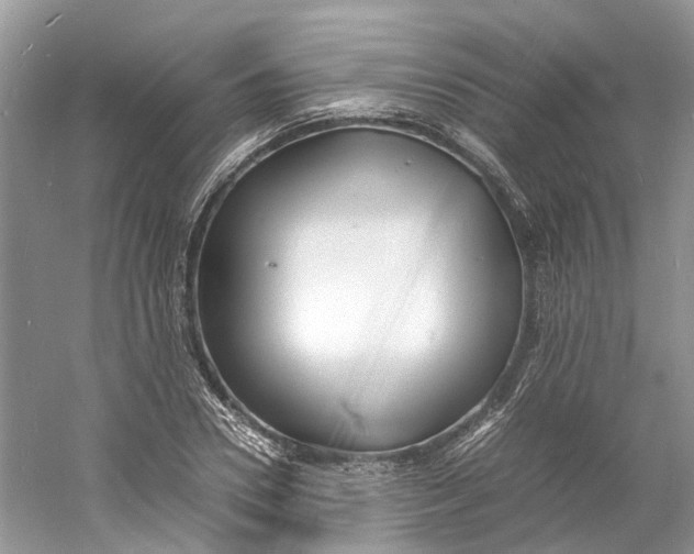 X0000060770930200512011608