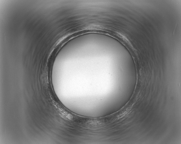 X0000060770931200512011608