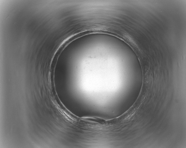 X0000060770932200512011608