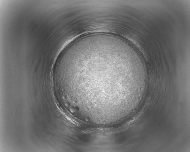 X0000060770933200512011608