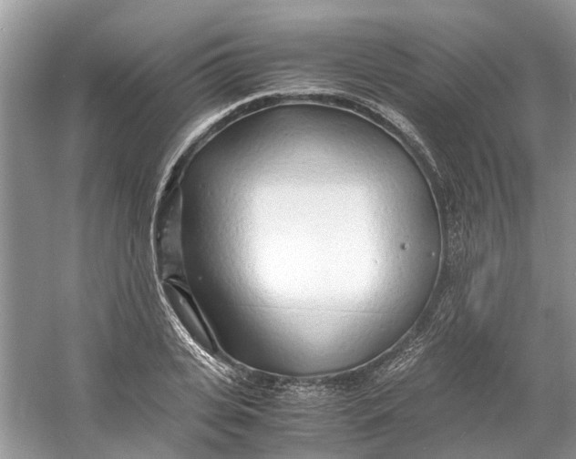 X0000060770935200512011608