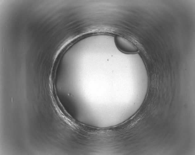 X0000060770936200512011608