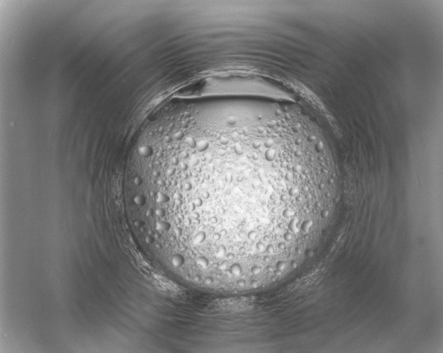 X0000060770937200512011608