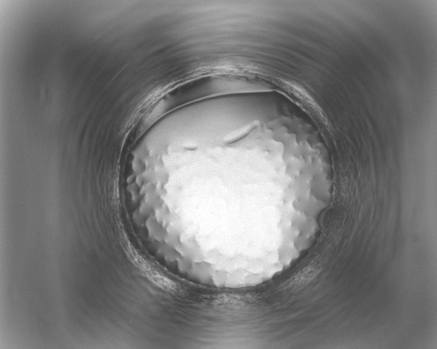 X0000060770938200512011608