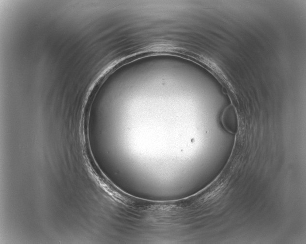 X0000060770939200512011608