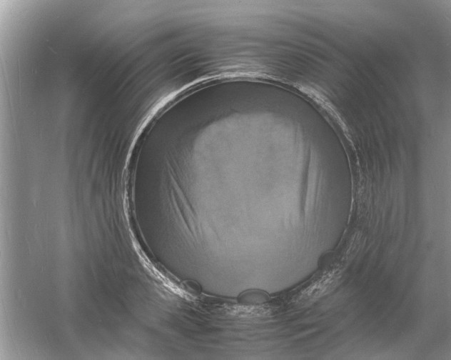 X0000060770941200512011608