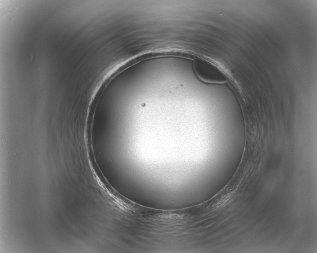 X0000060770943200512011608