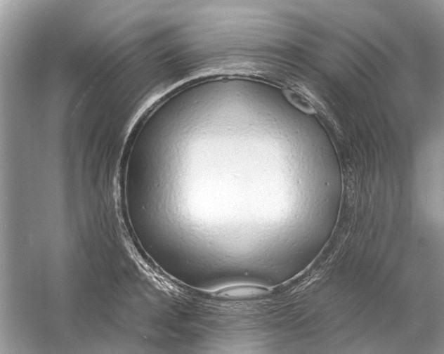 X0000060770944200512011608