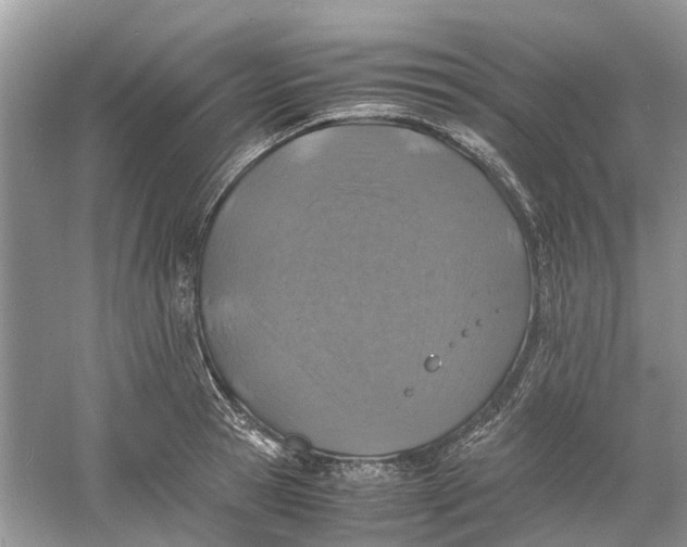 X0000060770945200512011608