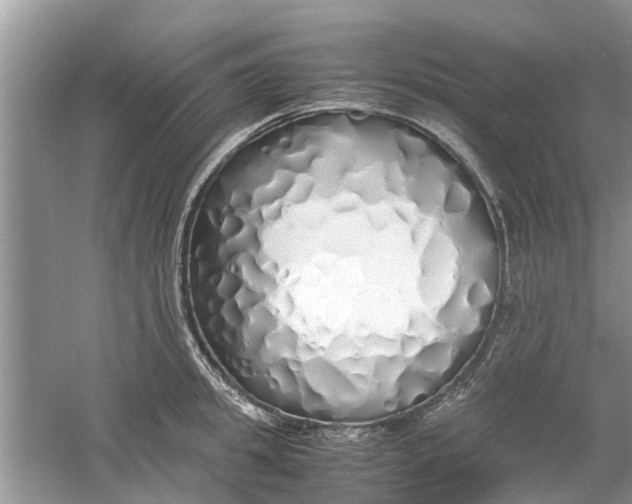 X0000060770949200512011608