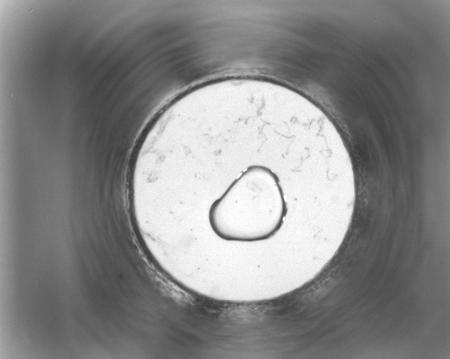 X0000060770950200512011608