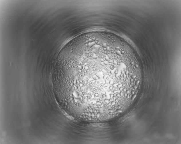 X0000060770953200512011608