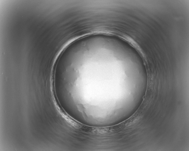 X0000060770955200512011608