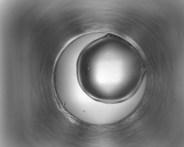 X0000060770956200512011608