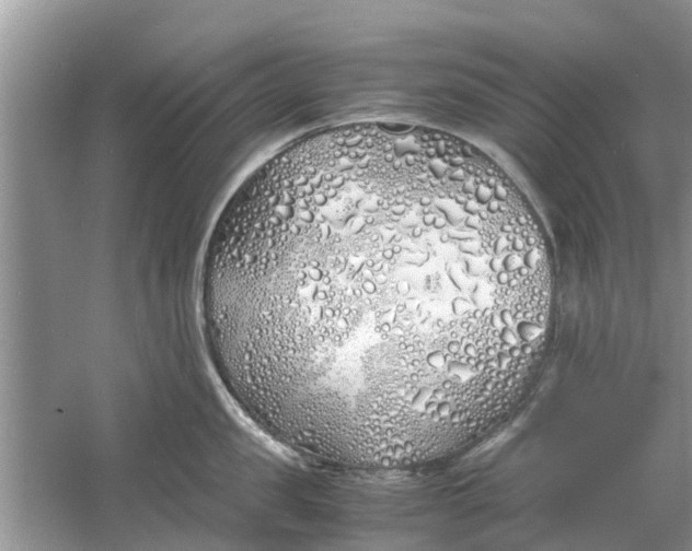 X0000060770957200512011608