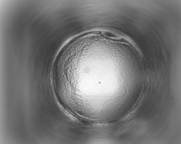 X0000060770958200512011608