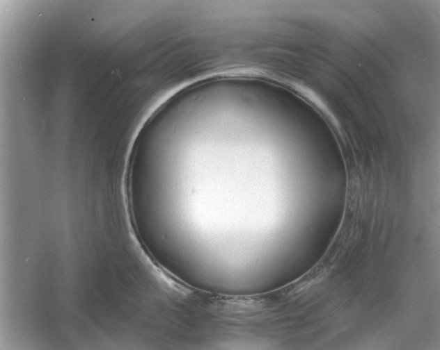 X0000060770959200512011608