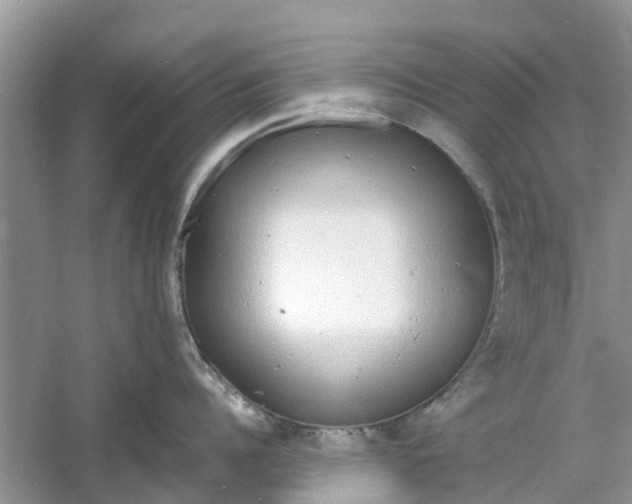 X0000060770960200512011608