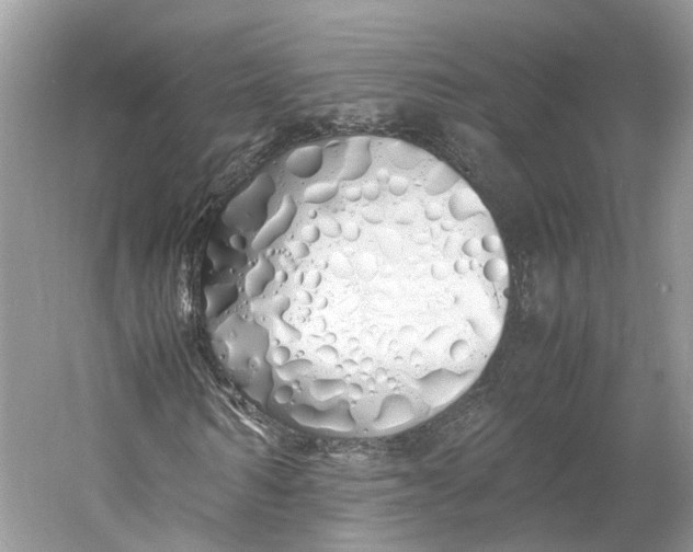 X0000060770962200512011607